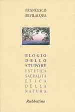 Elogio dello stupore