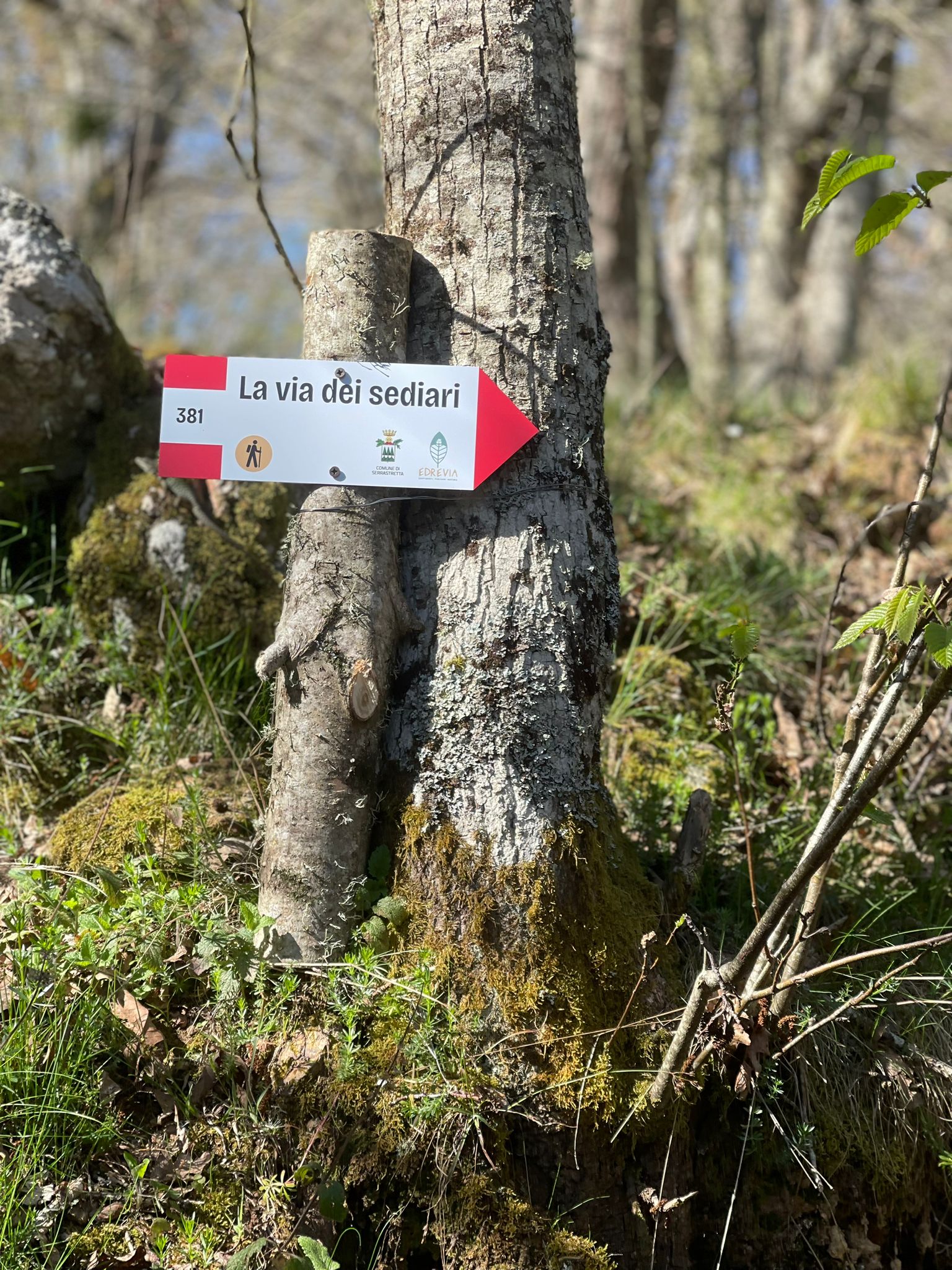 Inaugurato il Percorso Trekking della “Via dei Sediari”: alla scoperta delle radici di Serrastretta