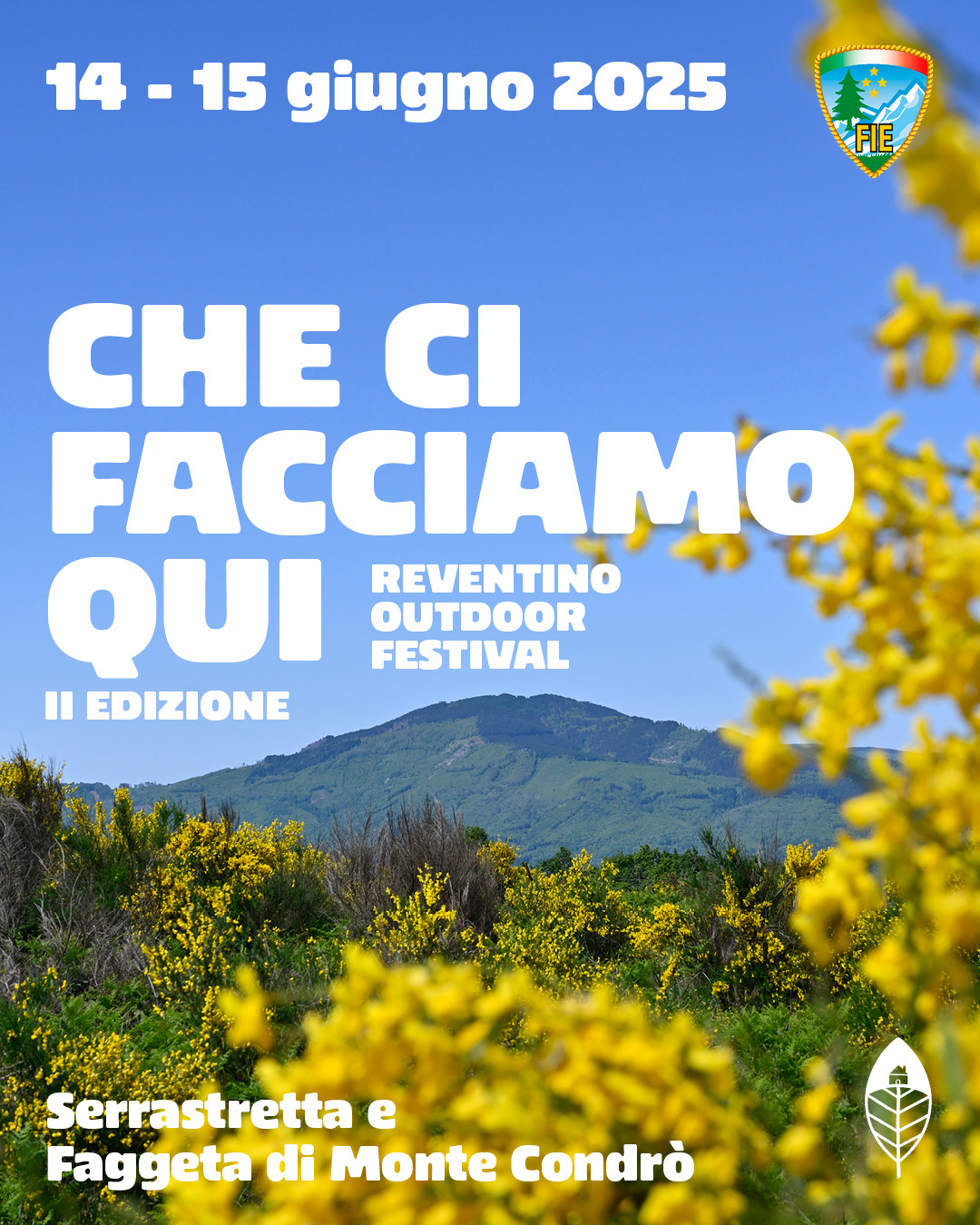 Che ci facciamo qui (seconda edizione)