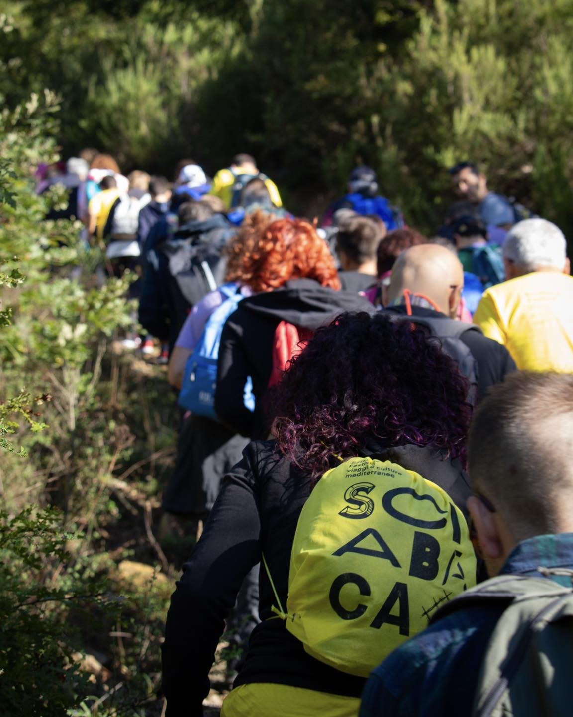 Tra libri e cammini. Una via per la Calabria.