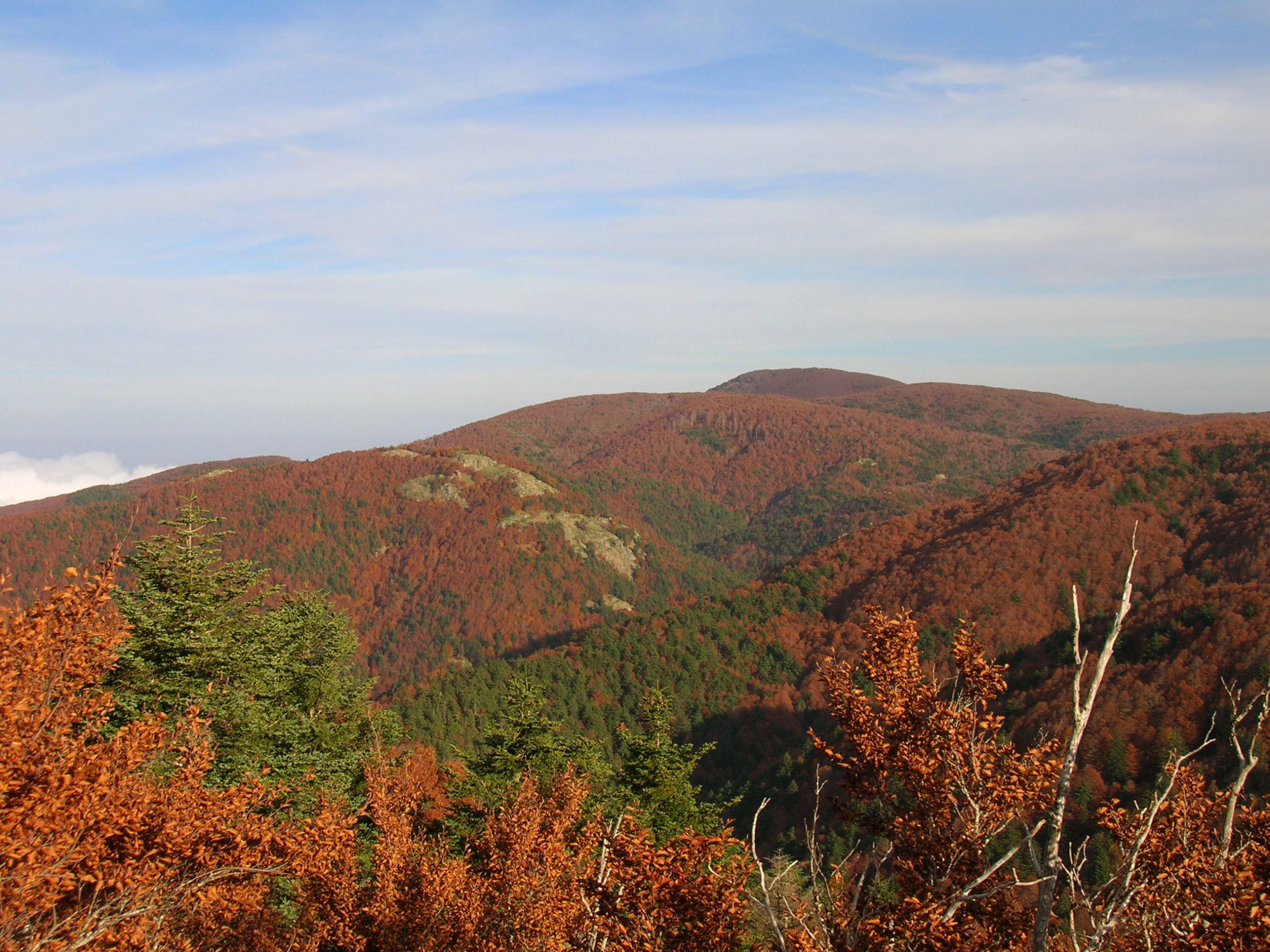 Anello di Montalto in Aspromonte