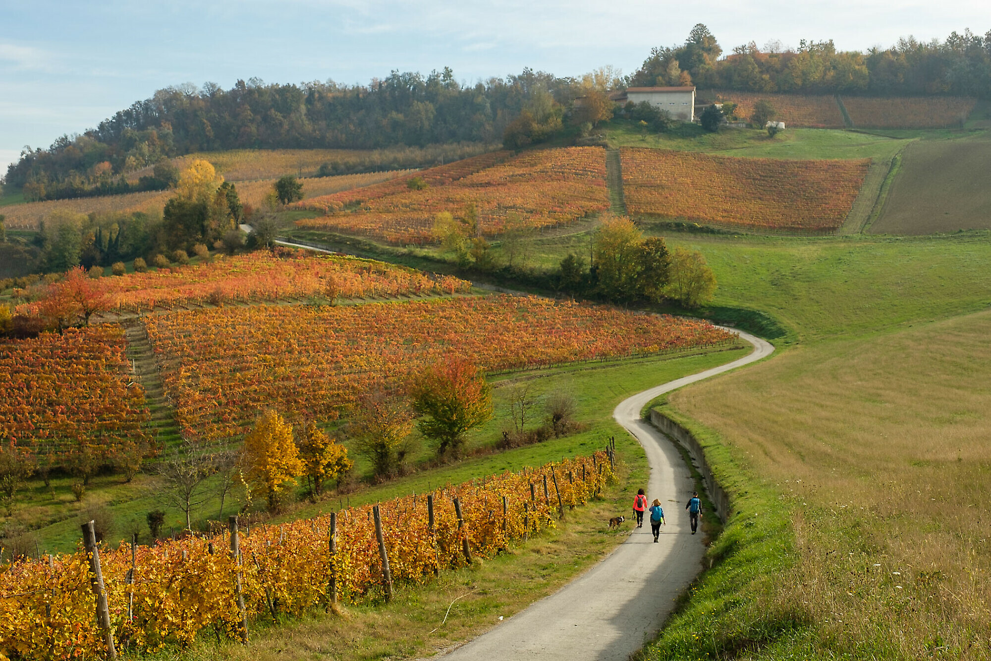 Trai filari, trekking in Vigna